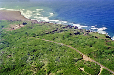 Filename=Japan0352.jpg
Filesize=1006KiB
Dimensions=2048x1361
Date added=May 18, 2022 Japan0352.jpg