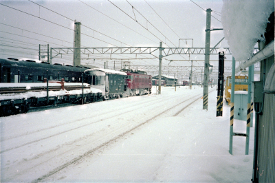 Filename=Japan0416.jpg
Filesize=627KiB
Dimensions=2048x1364
Date added=May 18, 2022 Japan0416.jpg