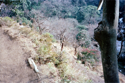 Filename=Japan0476.jpg
Filesize=964KiB
Dimensions=2048x1370
Date added=May 18, 2022 Japan0476.jpg