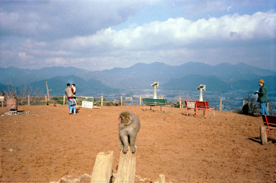 Filename=Japan0486.jpg
Filesize=707KiB
Dimensions=2048x1367
Date added=May 18, 2022 Japan0486.jpg