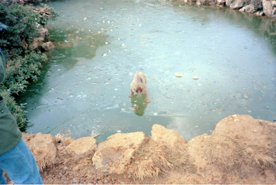 Filename=Japan0487.jpg
Filesize=679KiB
Dimensions=2048x1378
Date added=May 18, 2022 Japan0487.jpg