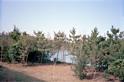 Filename=Japan0500.jpg
Filesize=733KiB
Dimensions=2048x1367
Date added=May 18, 2022 Japan0500.jpg