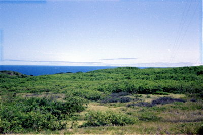 Filename=Japan0741.jpg
Filesize=724KiB
Dimensions=2048x1366
Date added=May 18, 2022 Japan0741.jpg